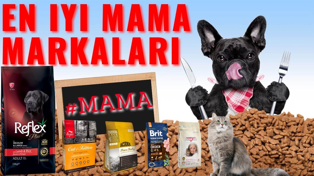 Uyku Ürünleri