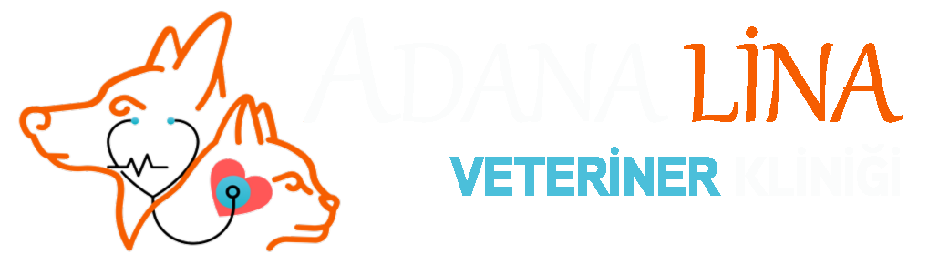 Adana Lina Veteriner Kliniği 